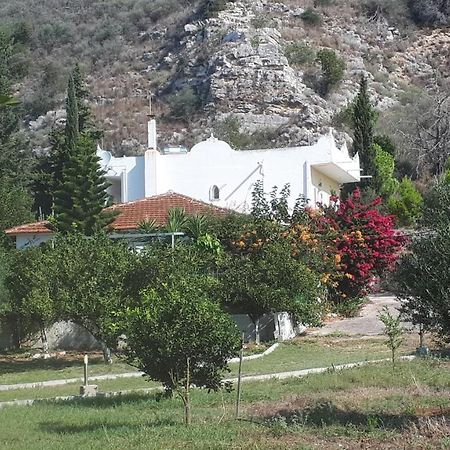 Villa Dunes 350M From The Sandy Beach Калогрия Екстериор снимка