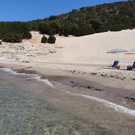 Villa Dunes 350M From The Sandy Beach Калогрия Екстериор снимка