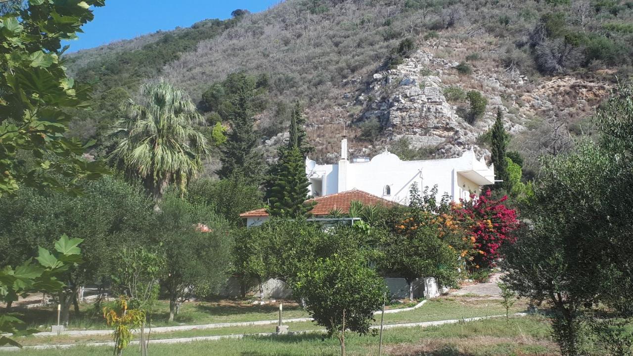 Villa Dunes 350M From The Sandy Beach Калогрия Екстериор снимка