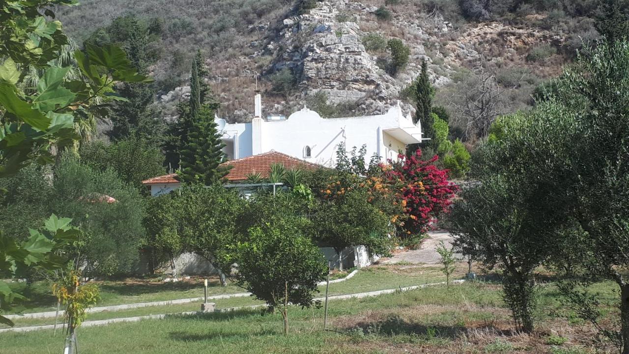 Villa Dunes 350M From The Sandy Beach Калогрия Екстериор снимка