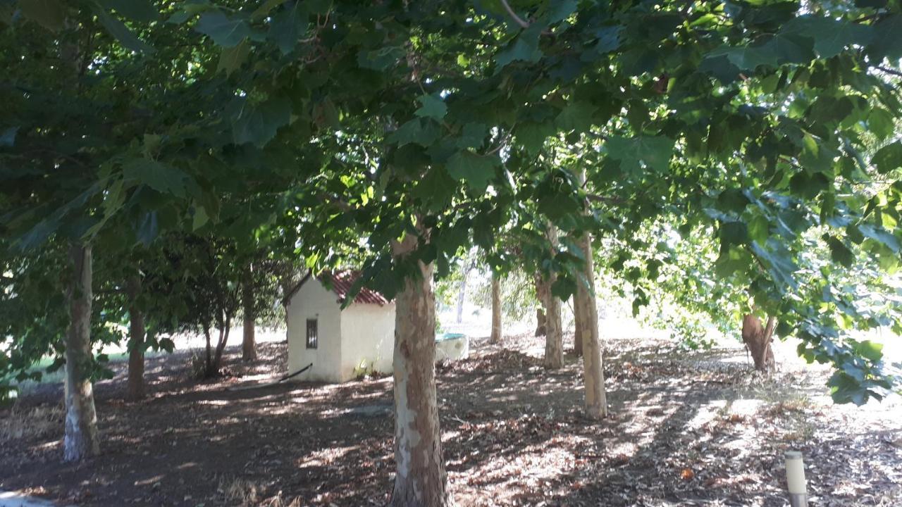 Villa Dunes 350M From The Sandy Beach Калогрия Екстериор снимка