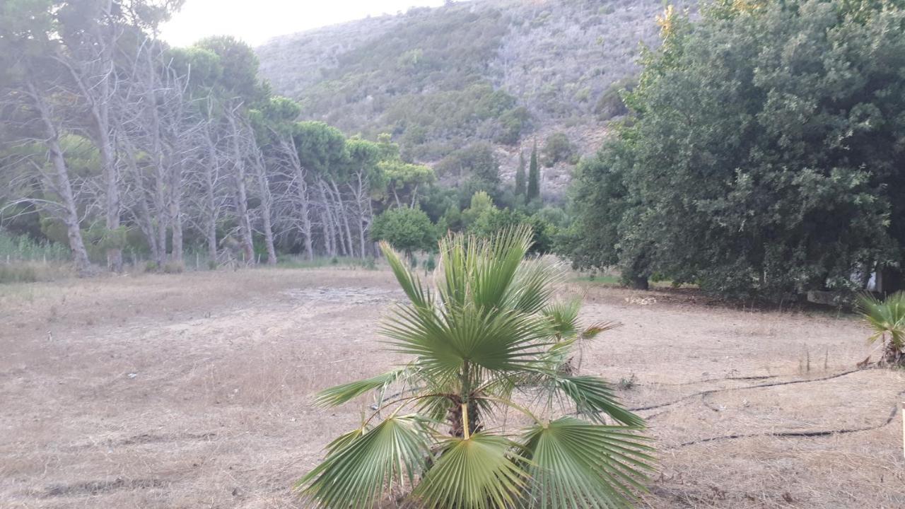 Villa Dunes 350M From The Sandy Beach Калогрия Екстериор снимка