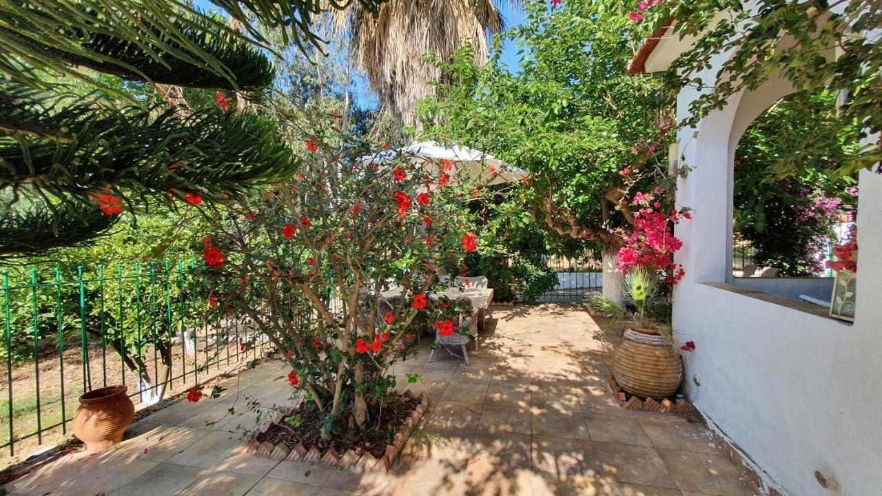 Villa Dunes 350M From The Sandy Beach Калогрия Екстериор снимка