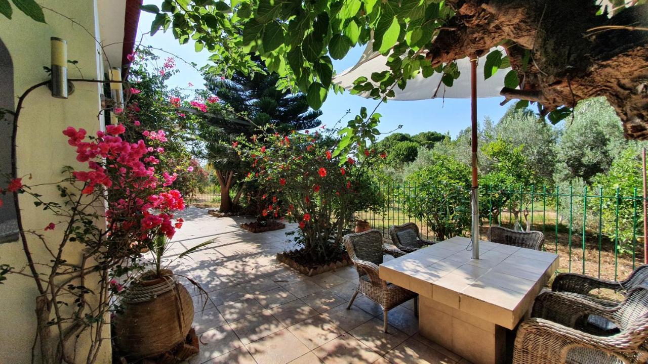 Villa Dunes 350M From The Sandy Beach Калогрия Екстериор снимка