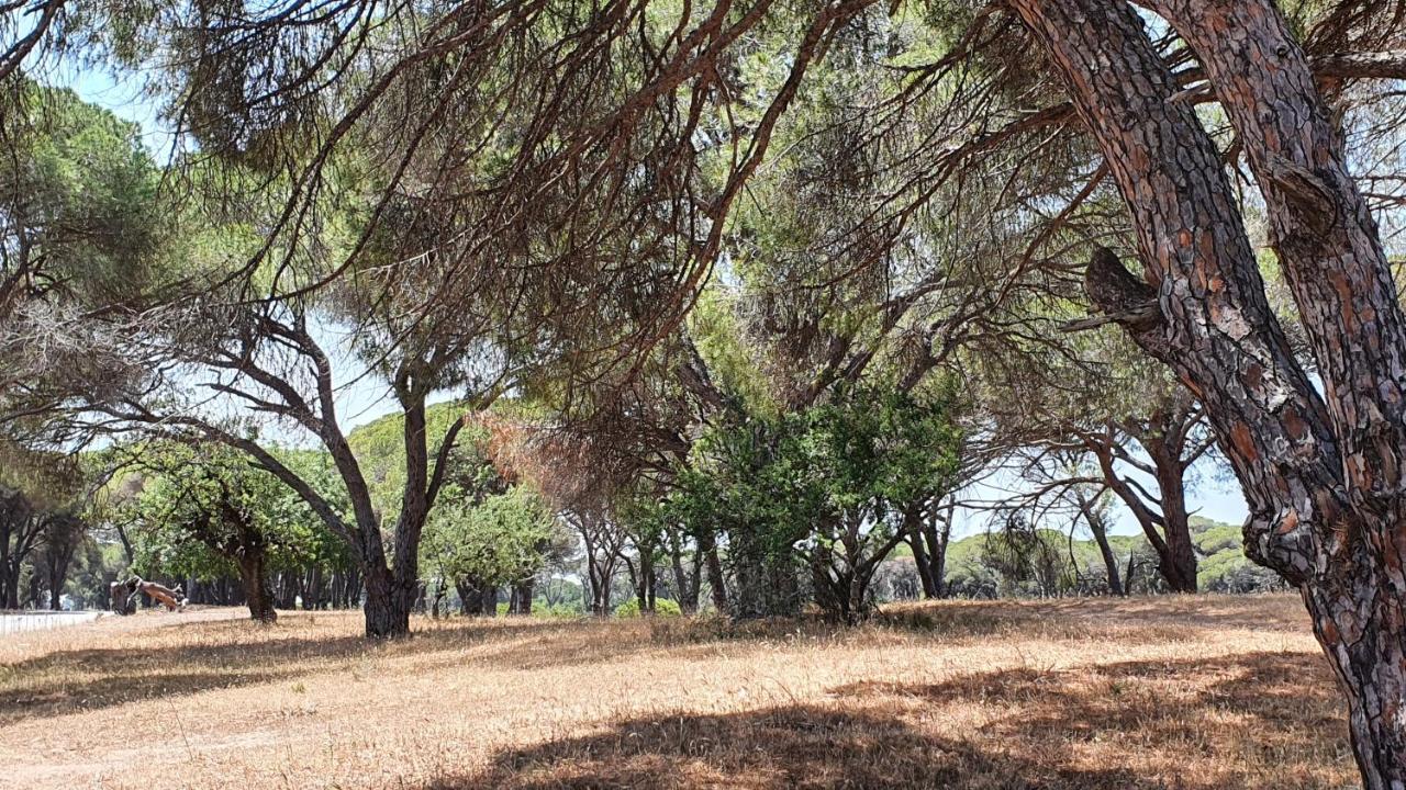 Villa Dunes 350M From The Sandy Beach Калогрия Екстериор снимка