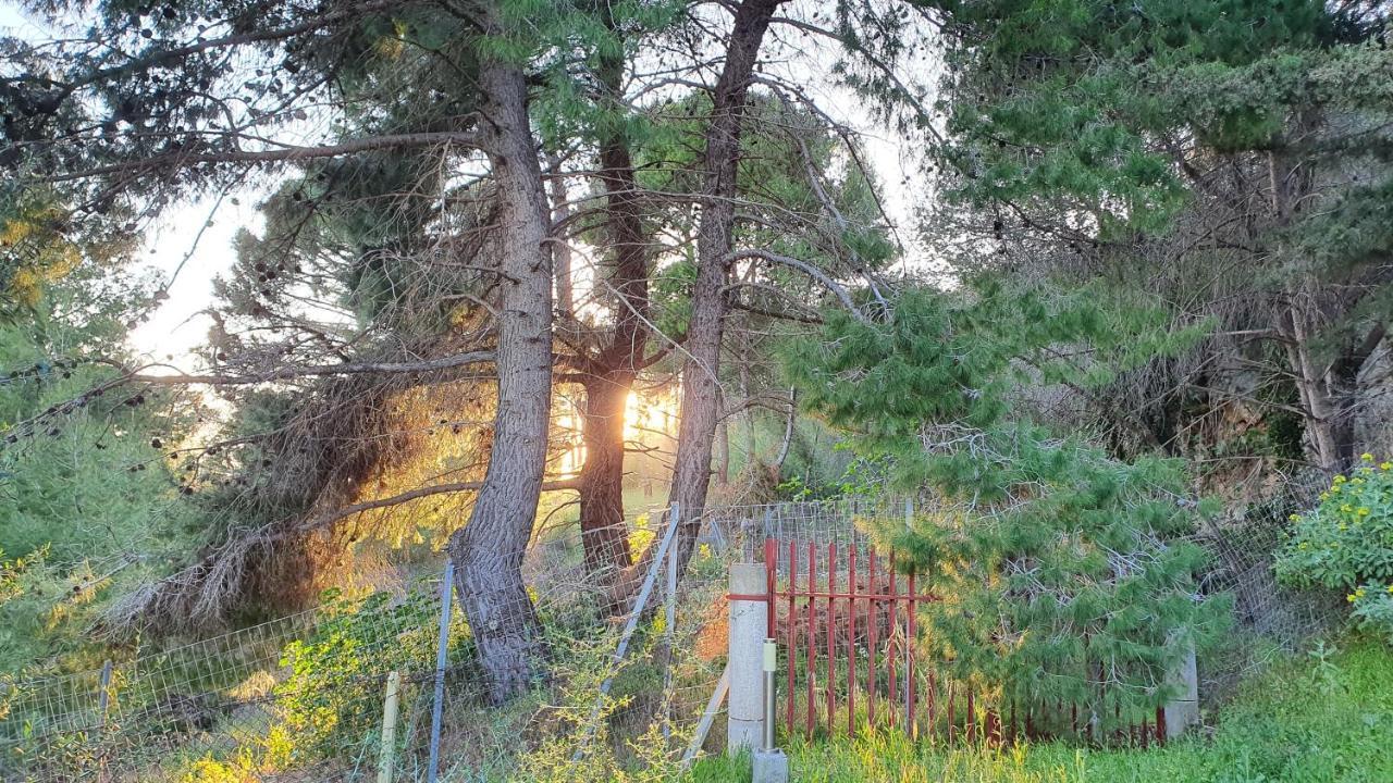 Villa Dunes 350M From The Sandy Beach Калогрия Екстериор снимка